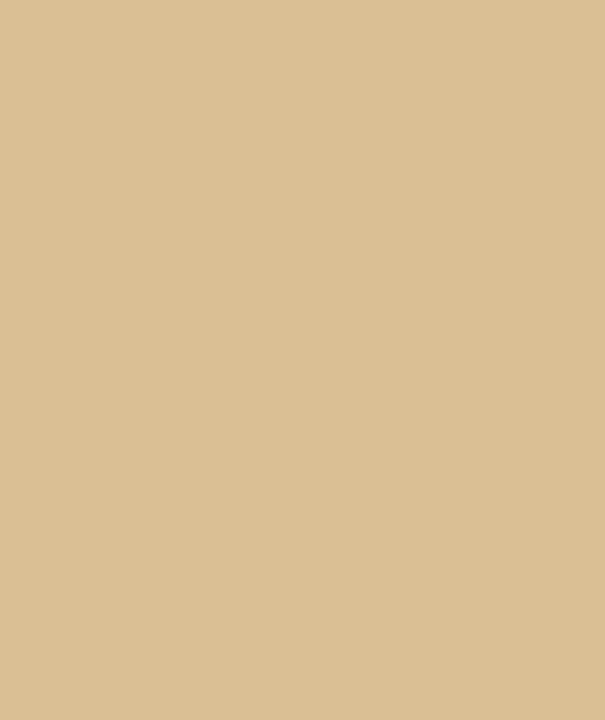 Beige — Photo Background Colours