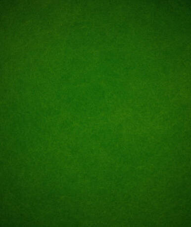 Green — Photo Background Colours